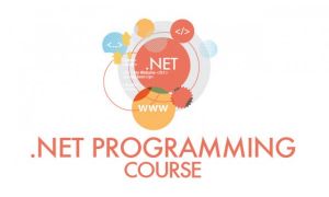 Microsoft .NET 4.5 Programming with HTML 5