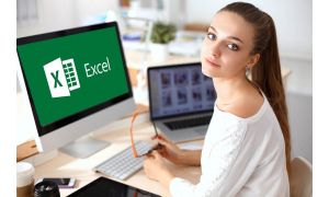 Microsoft Excel Professional Bundle 