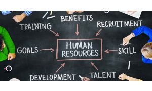 Ultimate Human Resources HR Online Training Bundle (Exams and Certificates included)