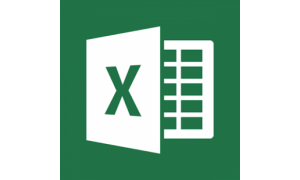 Microsoft Excel 2013: Essentials